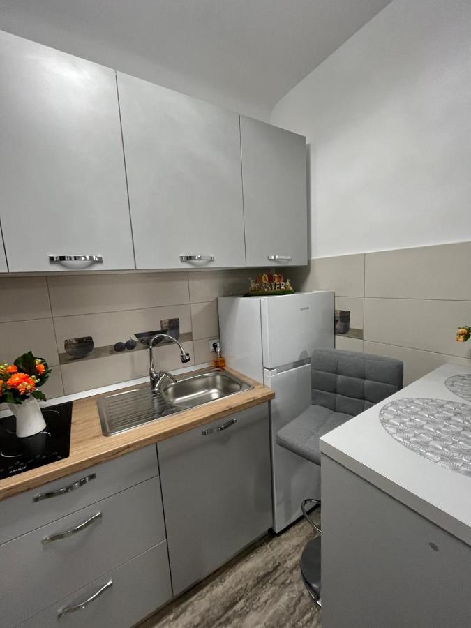 Central Studio Брашов Екстериор снимка
